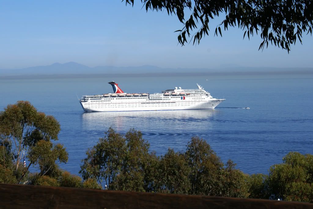 cruise.jpg