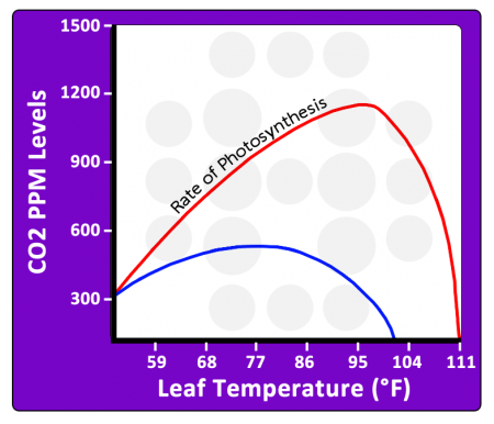 CO2-vs-Temp-for-photosynthesis.png