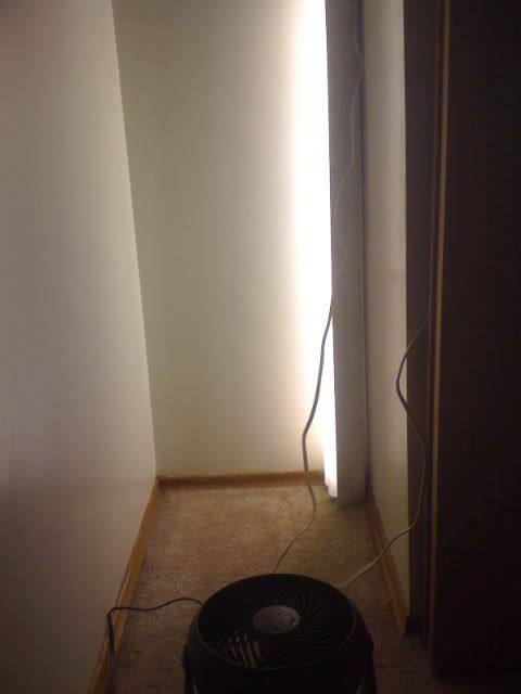 closetgrow.jpg