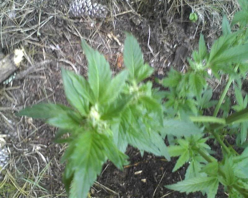 120507_0004.jpg