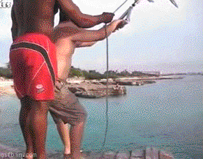 gifs_01.gif