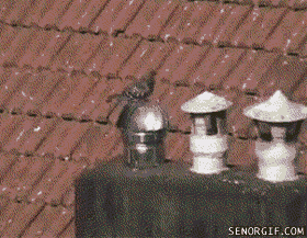 gifs_09.gif