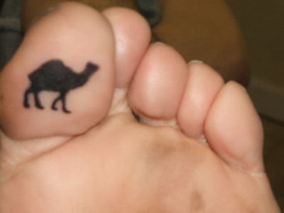 Camel+toe_770bd6_3856058.jpg
