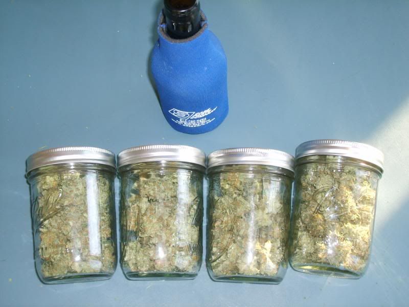5daysdrying004.jpg