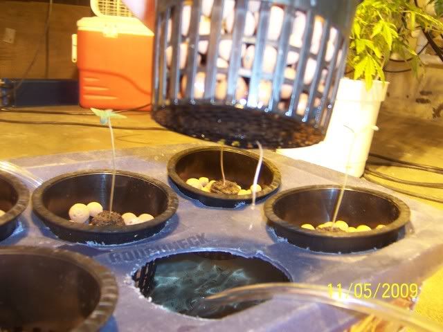 100_2192.jpg