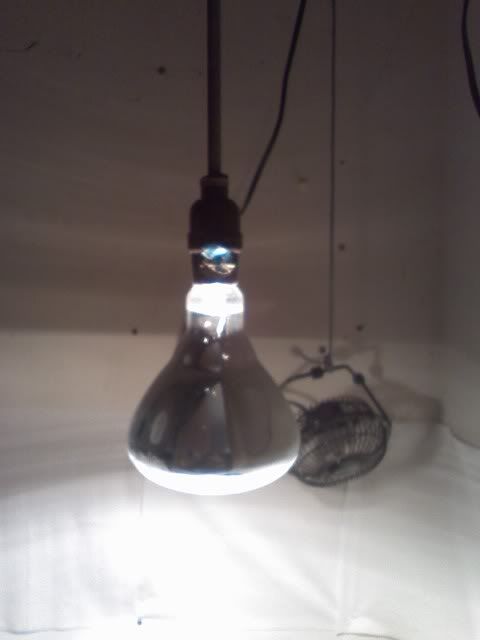 Lightsetup.jpg