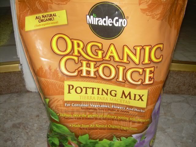 FirstGrow001.jpg