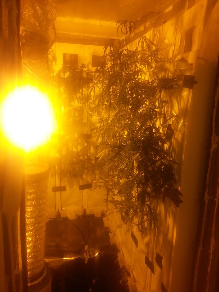 27VEG3vh.jpg