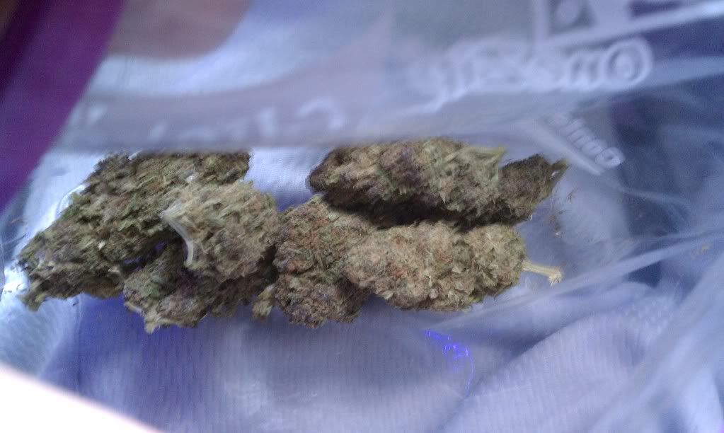 IMAG0039.jpg