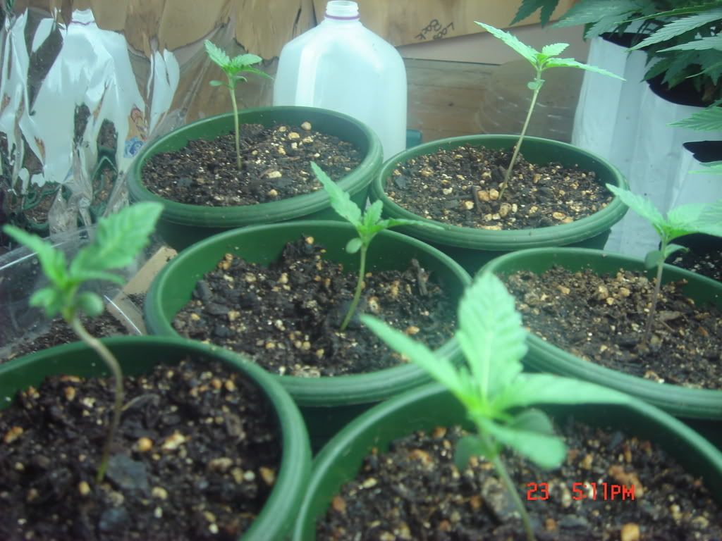 DSC01430.jpg