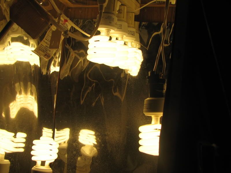 Picture006.jpg