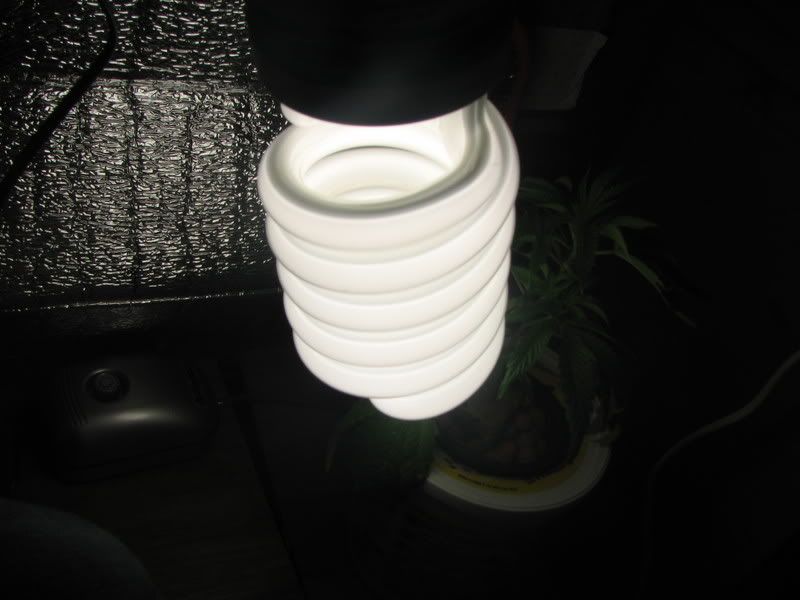 Picture012.jpg