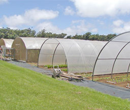 coldframe1000_1.jpg