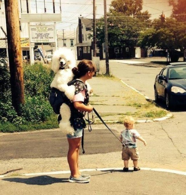 wtf_pics_27.jpg