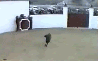 Bull.gif