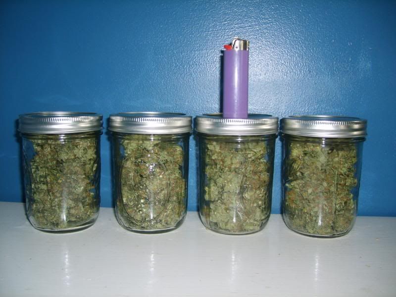 5daysdrying010.jpg