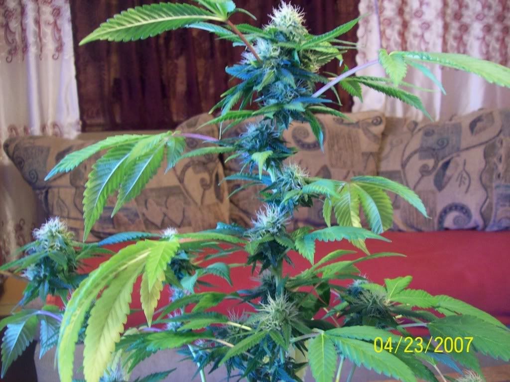 100_8706.jpg