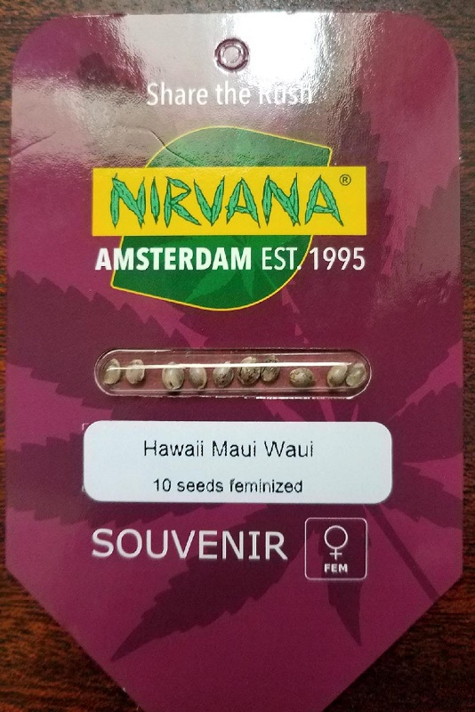 maui.jpg