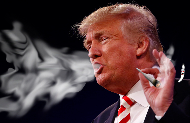 trump_bump_marijuana.jpg