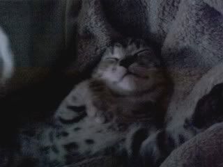 0517091653_01.jpg
