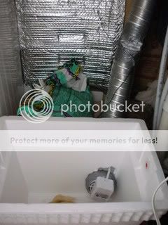 DSCN0331-1.jpg