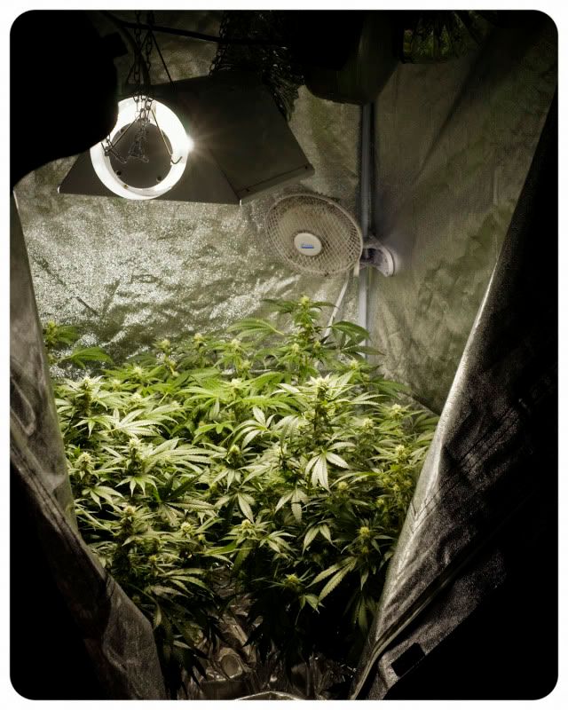 _KMD4509.jpg