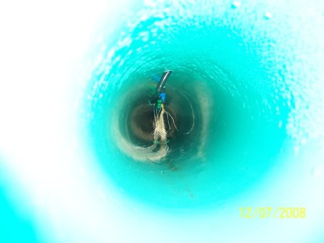 000_3876.jpg