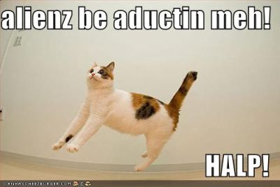 not-funny-pictures-cat-abducted-aliens.jpg