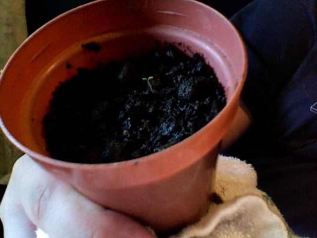 Photo793.jpg