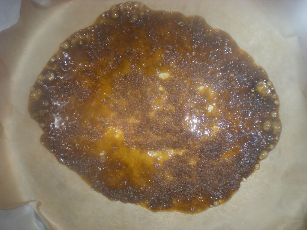 DSCN39231024x768.jpg