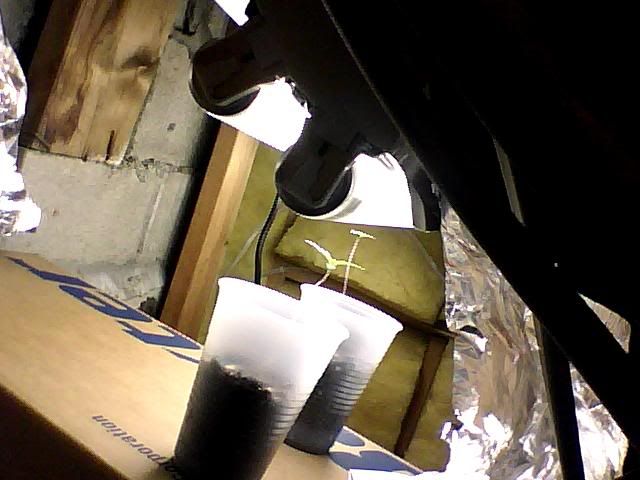 Picture002.jpg