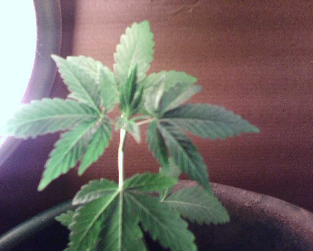IMG00147.jpg