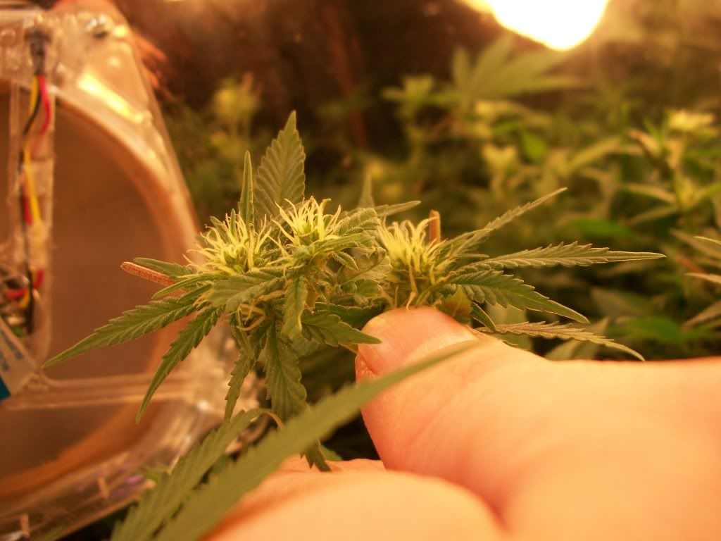 5-8-11014.jpg