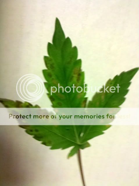 2011-08-31_22-05-32_817.jpg