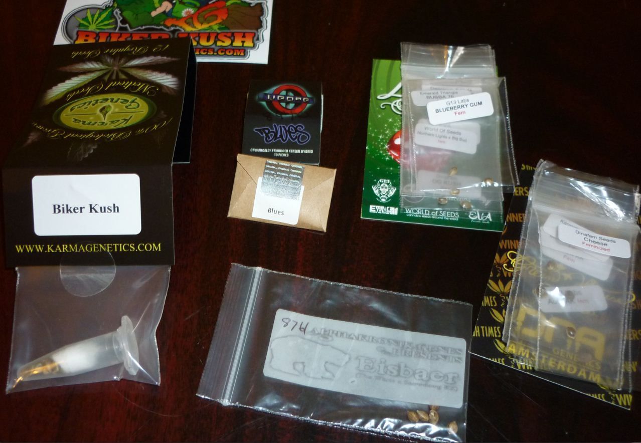 seeds2.jpg