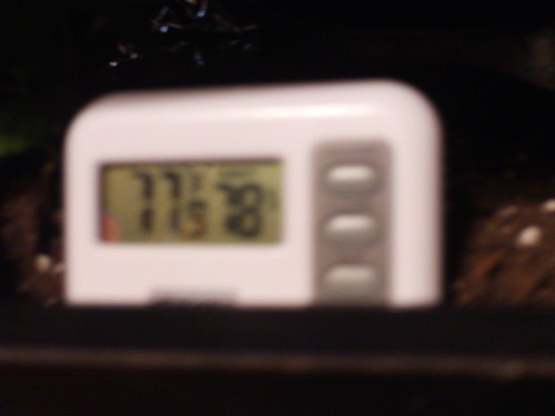 3594070938_2cc401f732.jpg
