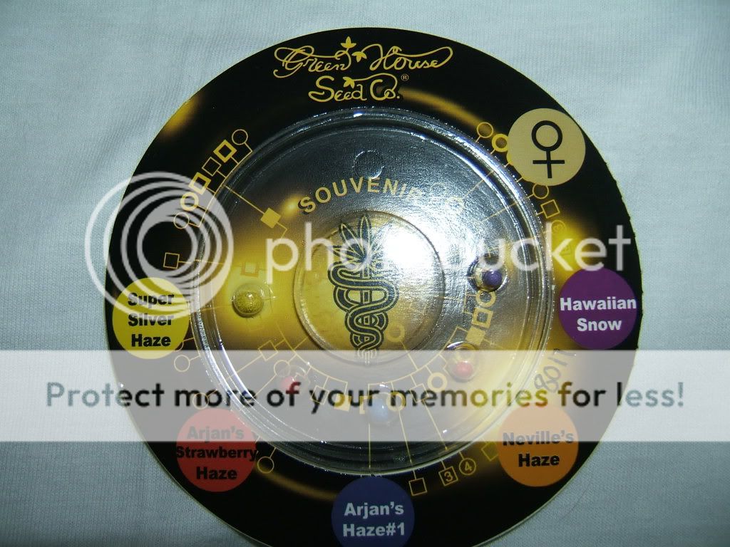 DSCF2817.jpg