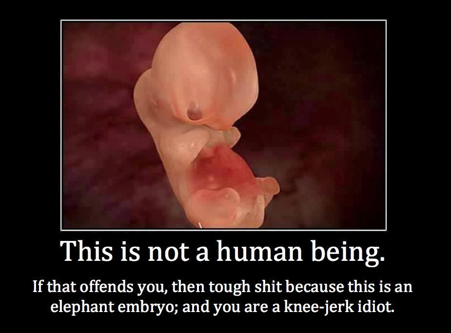 Elephant+Embryo.png