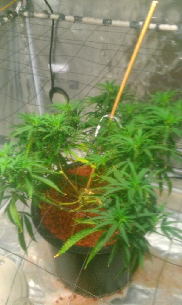 IMAG0539.jpg