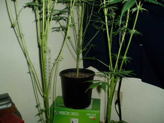 P1010101.jpg