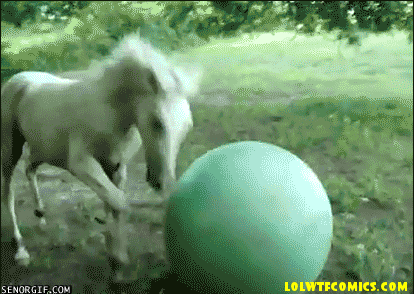 gifs_08.gif