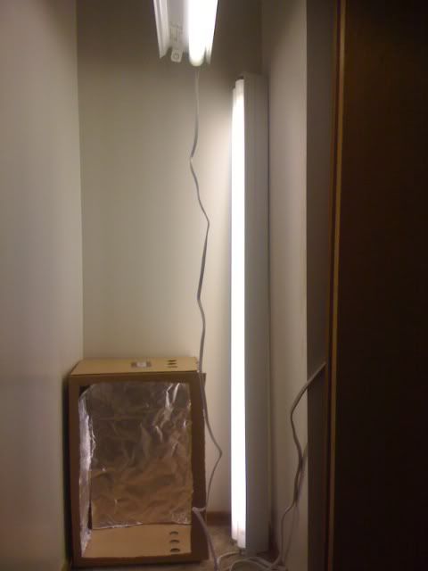 growroom.jpg