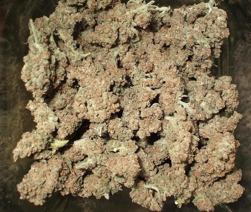 twwcnugs.jpg