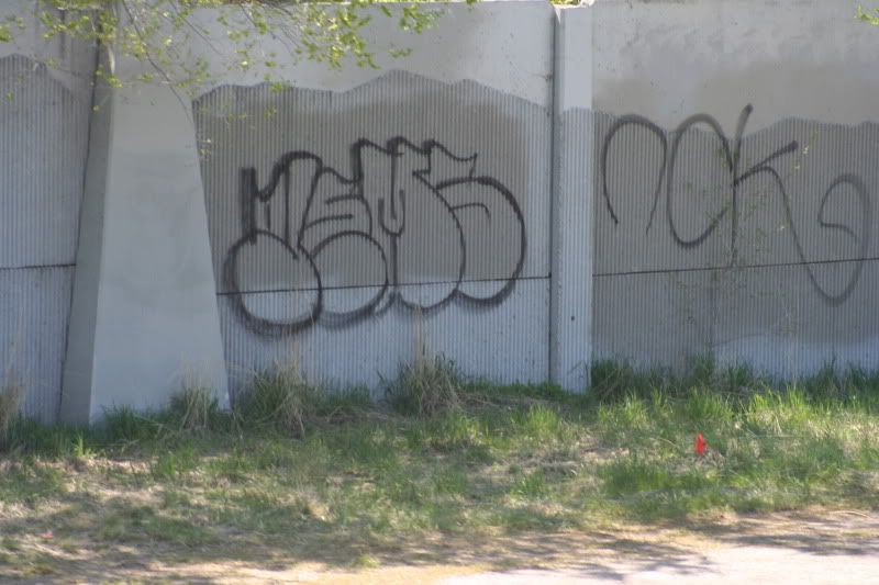 IMG_7366.jpg