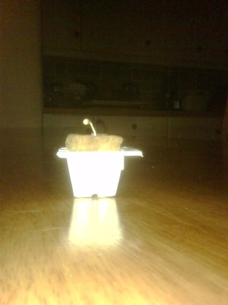 IMG00025-20100327-2040.jpg