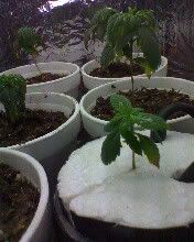 Apr03_0001.jpg
