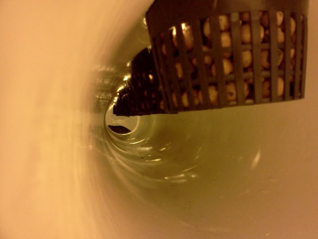 IMG_20111217_143517.jpg