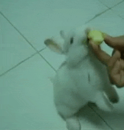 new_funny_gif_22.gif
