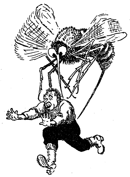 mosquito_bee.gif