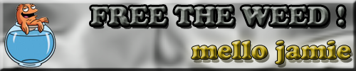 SrvwA.png